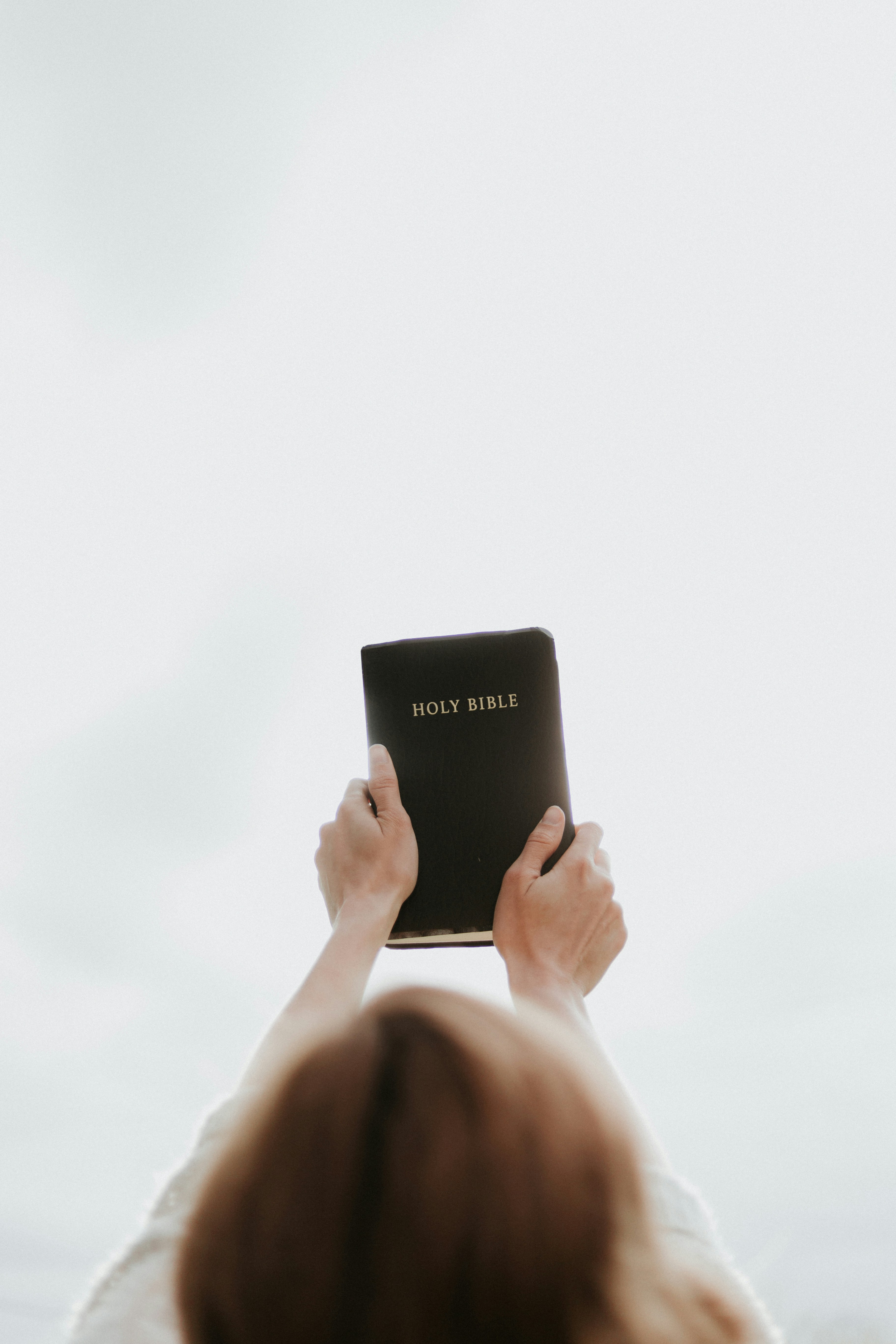 woman holding up Bible woman holding up Bible
